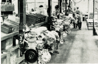 /album/production-of-bmw-e3-in-1968/bild15-png/